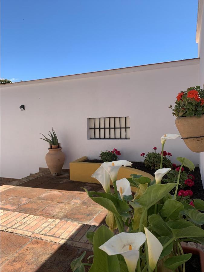 Encantador Apartamento-Centrico-Con Amplio Jardin Torremolinos Dış mekan fotoğraf