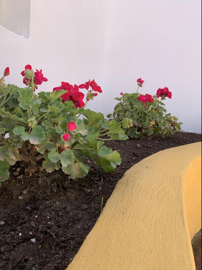 Encantador Apartamento-Centrico-Con Amplio Jardin Torremolinos Dış mekan fotoğraf